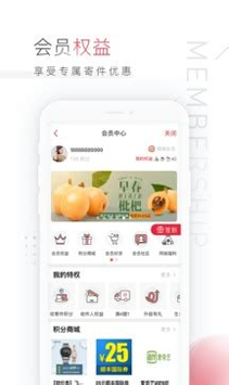 顺丰速运手机客户端游戏截图1