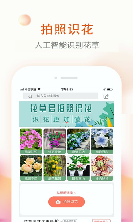 花草君游戏截图1