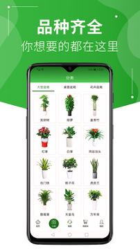 绿植到家游戏截图2