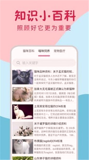 小猫翻译器游戏截图1