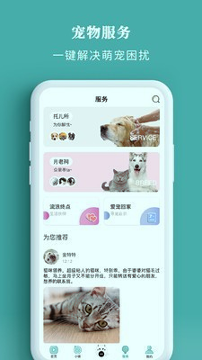 宠朕游戏截图3