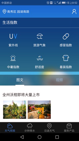 晓天气游戏截图3