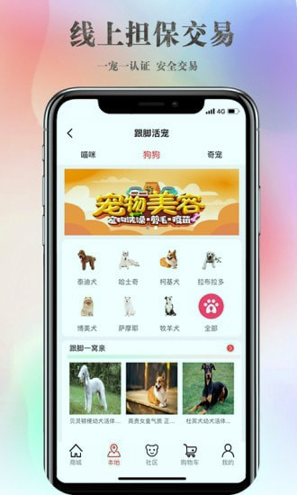 跟脚网游戏截图4