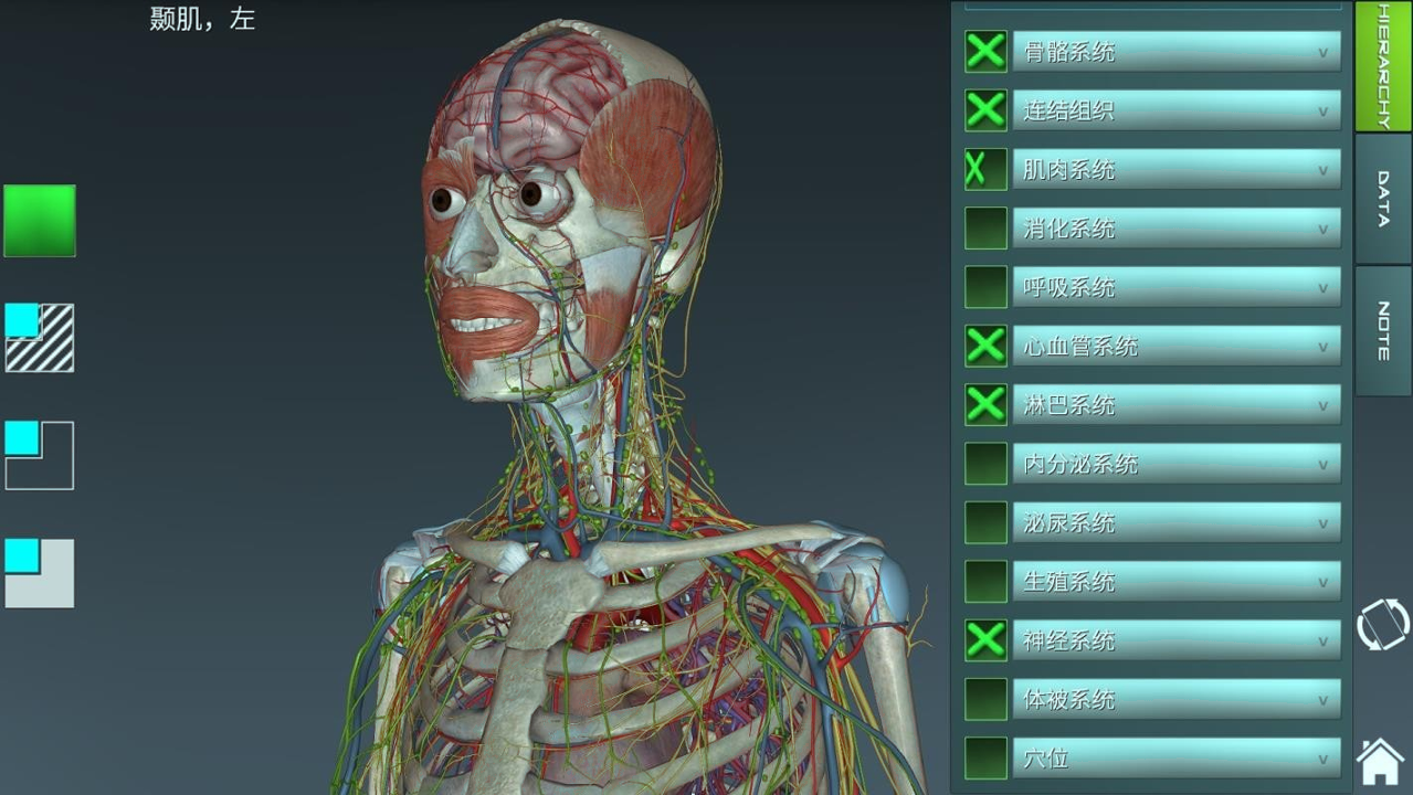 人体解剖学图集游戏截图2