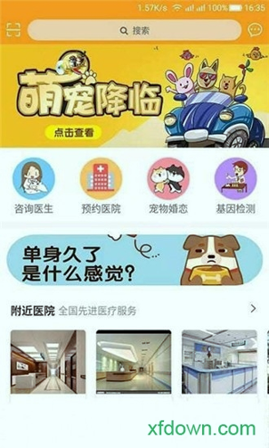 慧宠游戏截图2