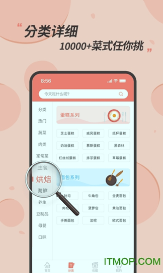 私厨食谱大全游戏截图4