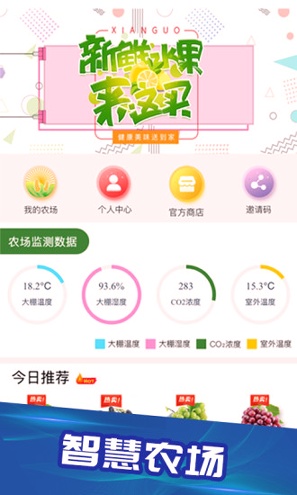 大农主游戏截图1