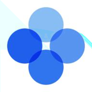 pnetworK币