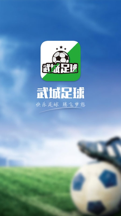 武城足球游戏截图1