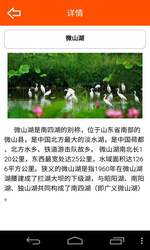 掌握微山游戏截图2