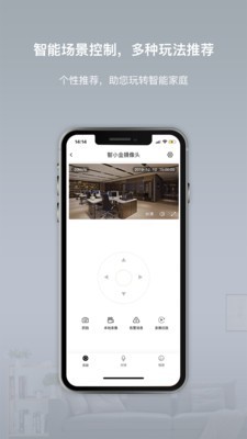 智小金游戏截图2