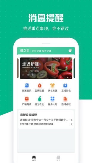 疆之农游戏截图1