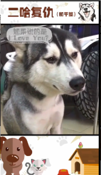 二哈复仇记游戏截图4