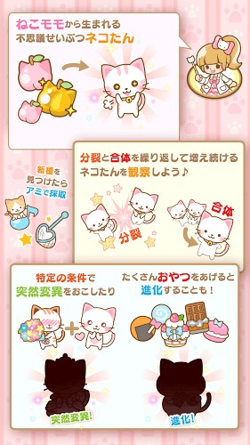 猫猫研究所游戏截图4