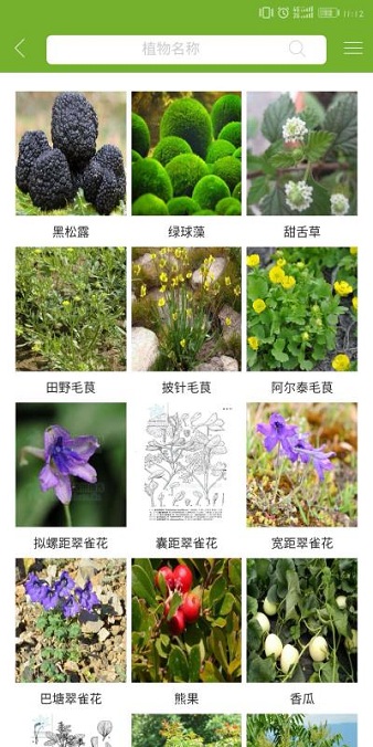 植物网游戏截图2