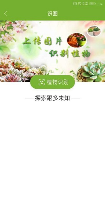 植物网游戏截图1