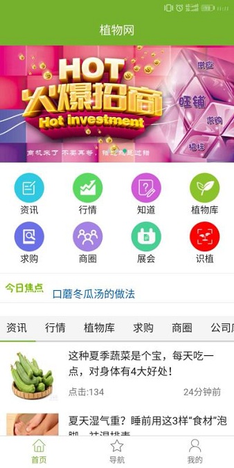 植物网游戏截图3