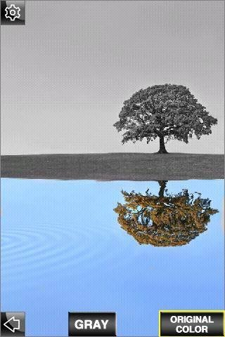 色彩添加游戏截图2