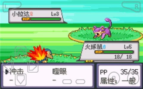 口袋妖怪暗黑银神兽中文版游戏截图4