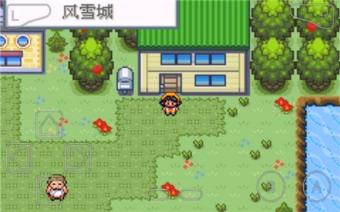 口袋妖怪暗黑银神兽中文版游戏截图1