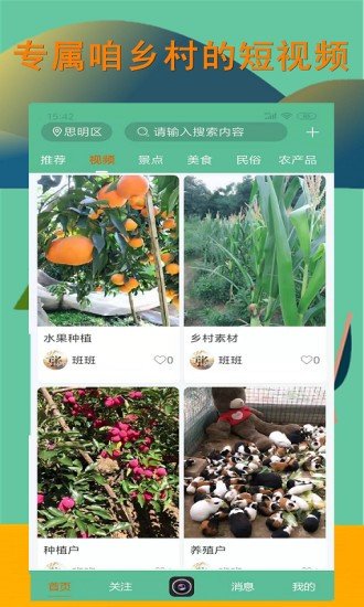 掌上乡村游戏截图2