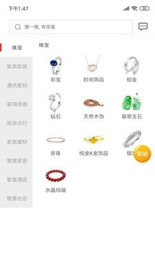 白金管家游戏截图2