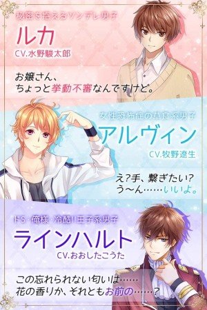 浪漫日记游戏截图4