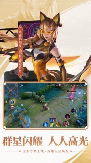 王者荣耀体验服游戏截图5