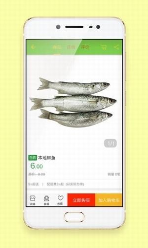 鲜蜂游戏截图1