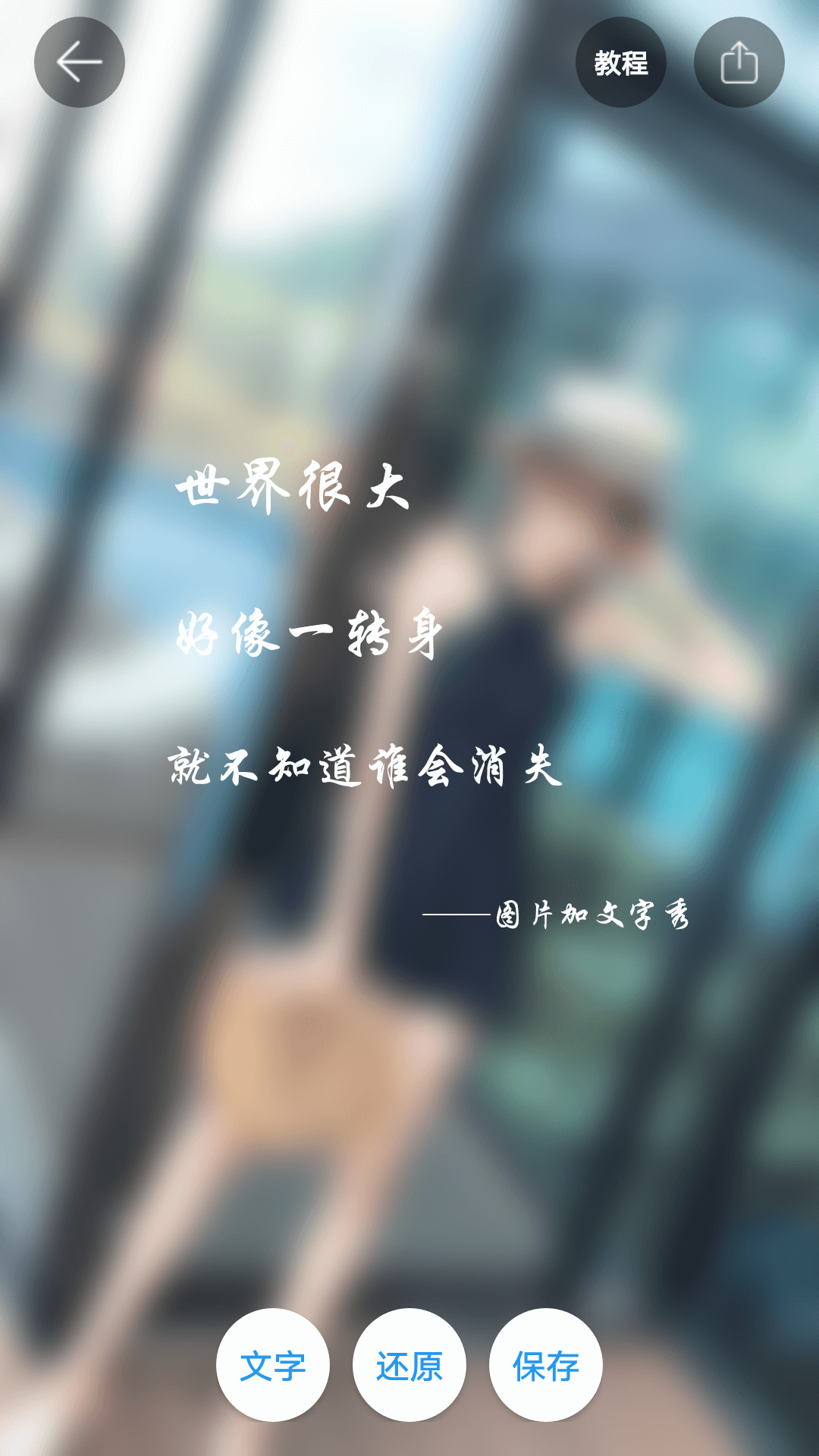 图片加文字秀游戏截图2