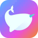 玲珑直播app手机版
