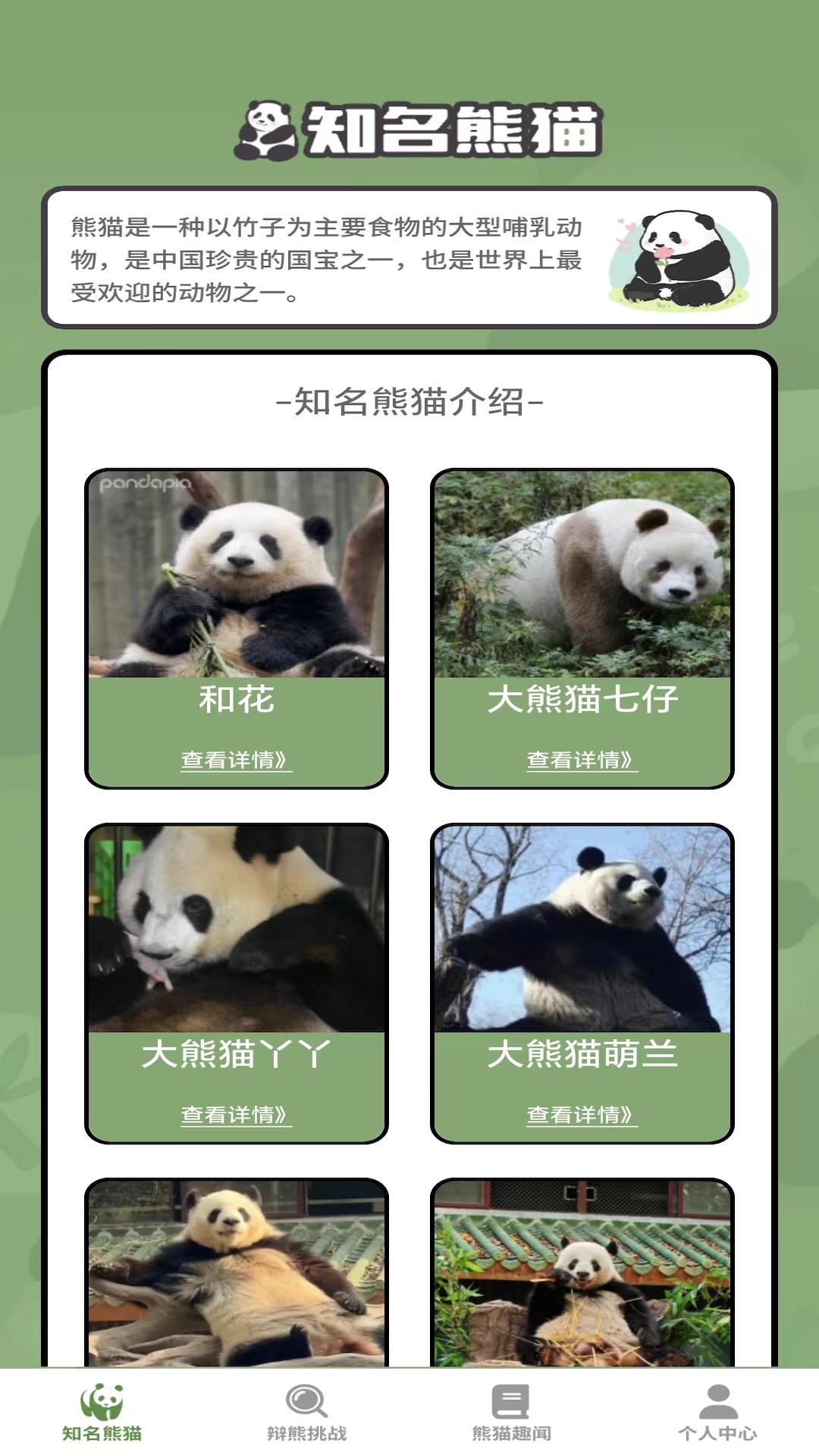 熊猫趣看游戏截图1