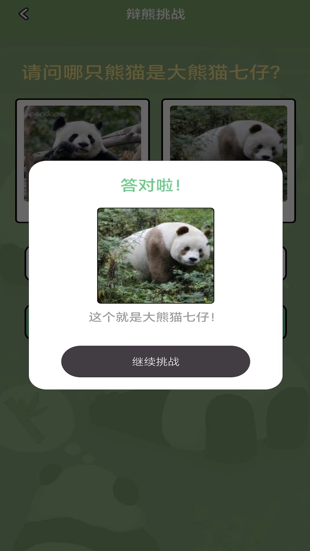 熊猫趣看游戏截图5