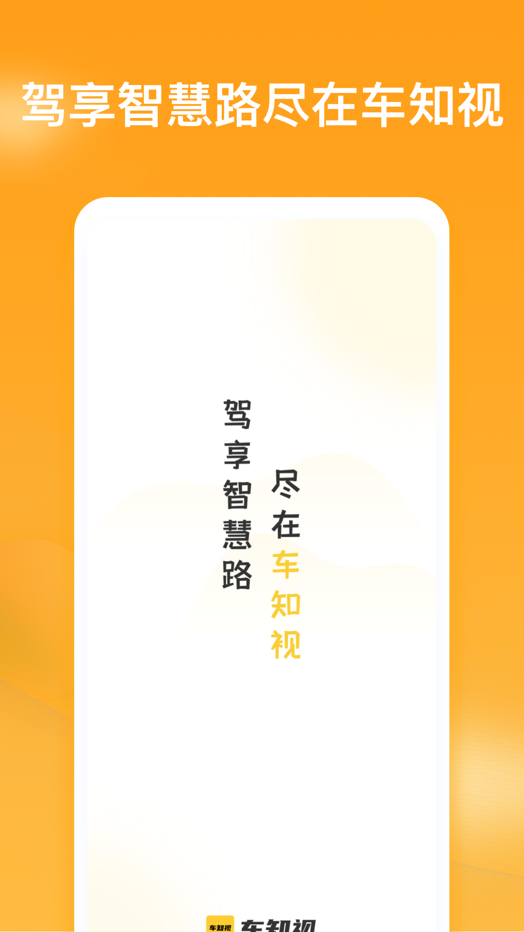 车知视游戏截图1