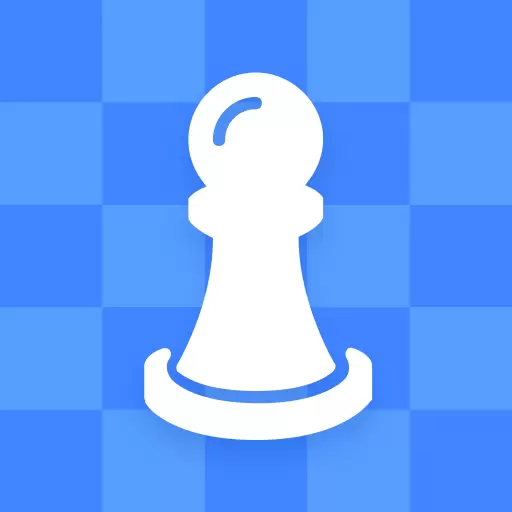 国际象棋双人