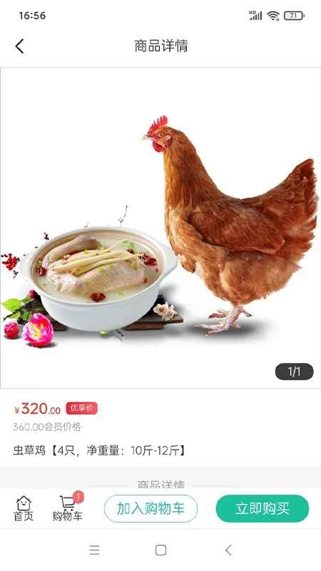 天天康养游戏截图2