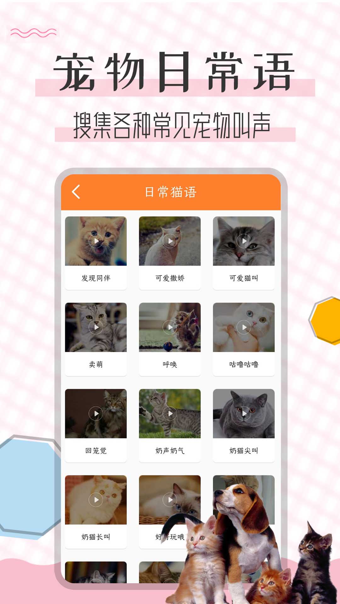 猫语翻译宝游戏截图4