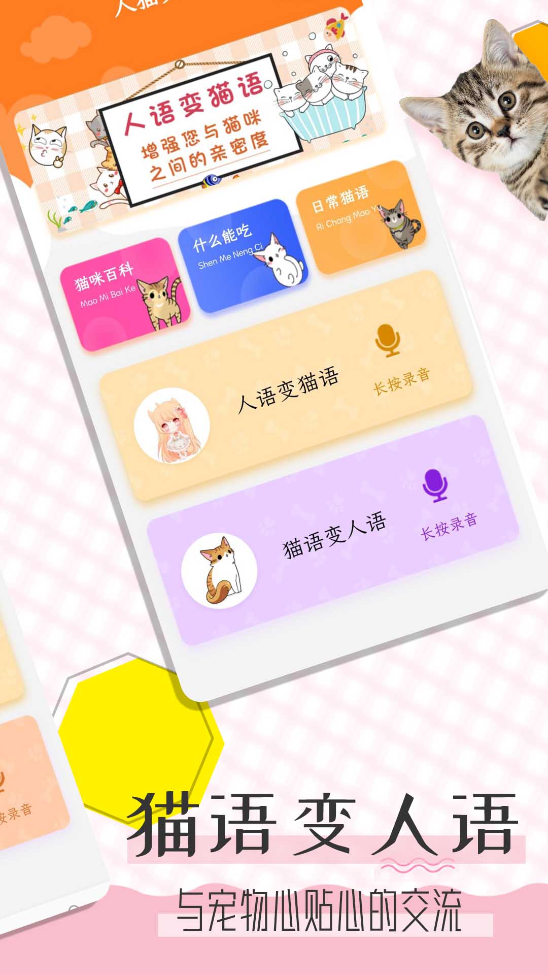 猫语翻译宝游戏截图2