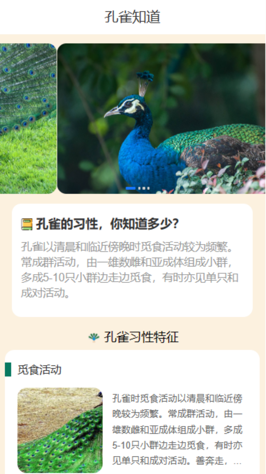 孔雀享看游戏截图2