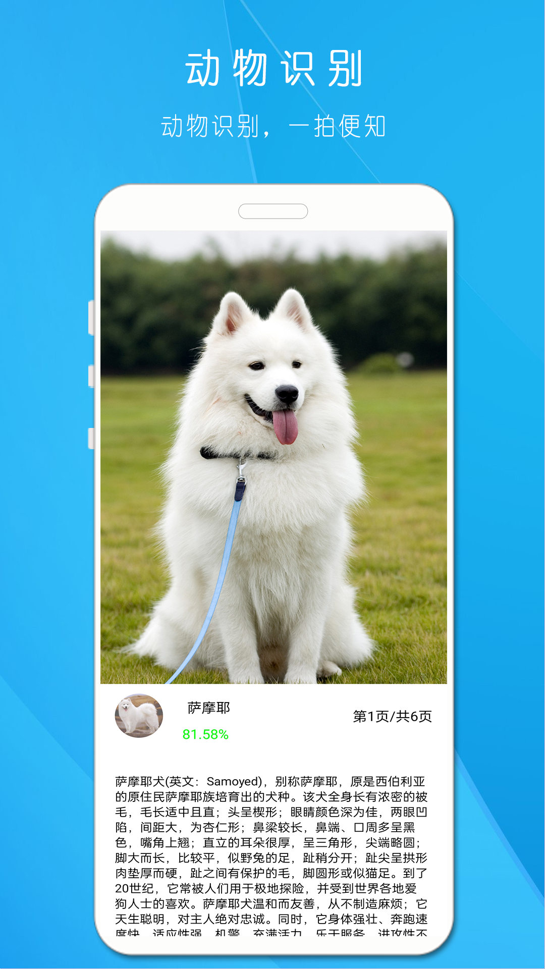 拍照识万物游戏截图3