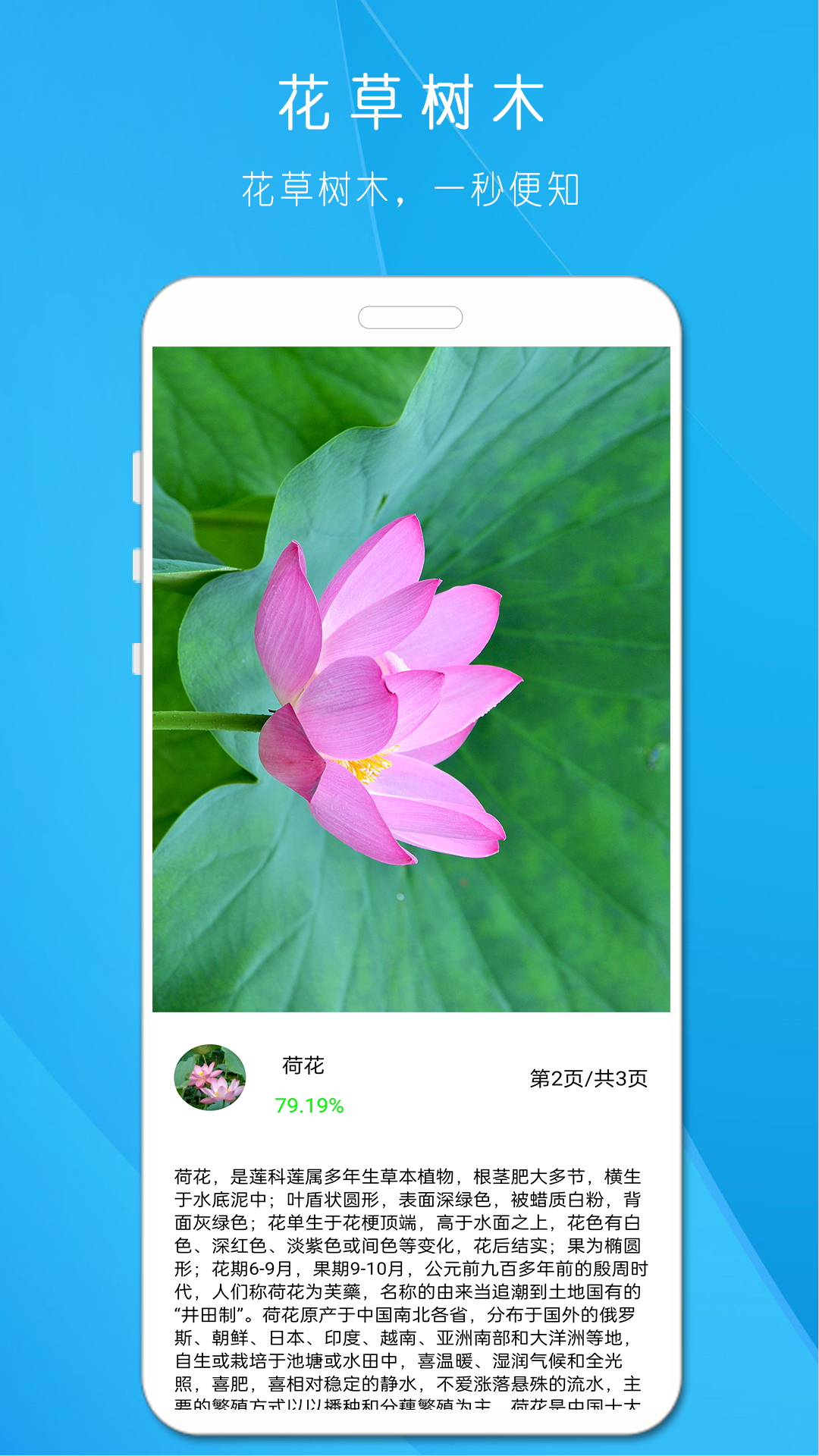 拍照识万物游戏截图2