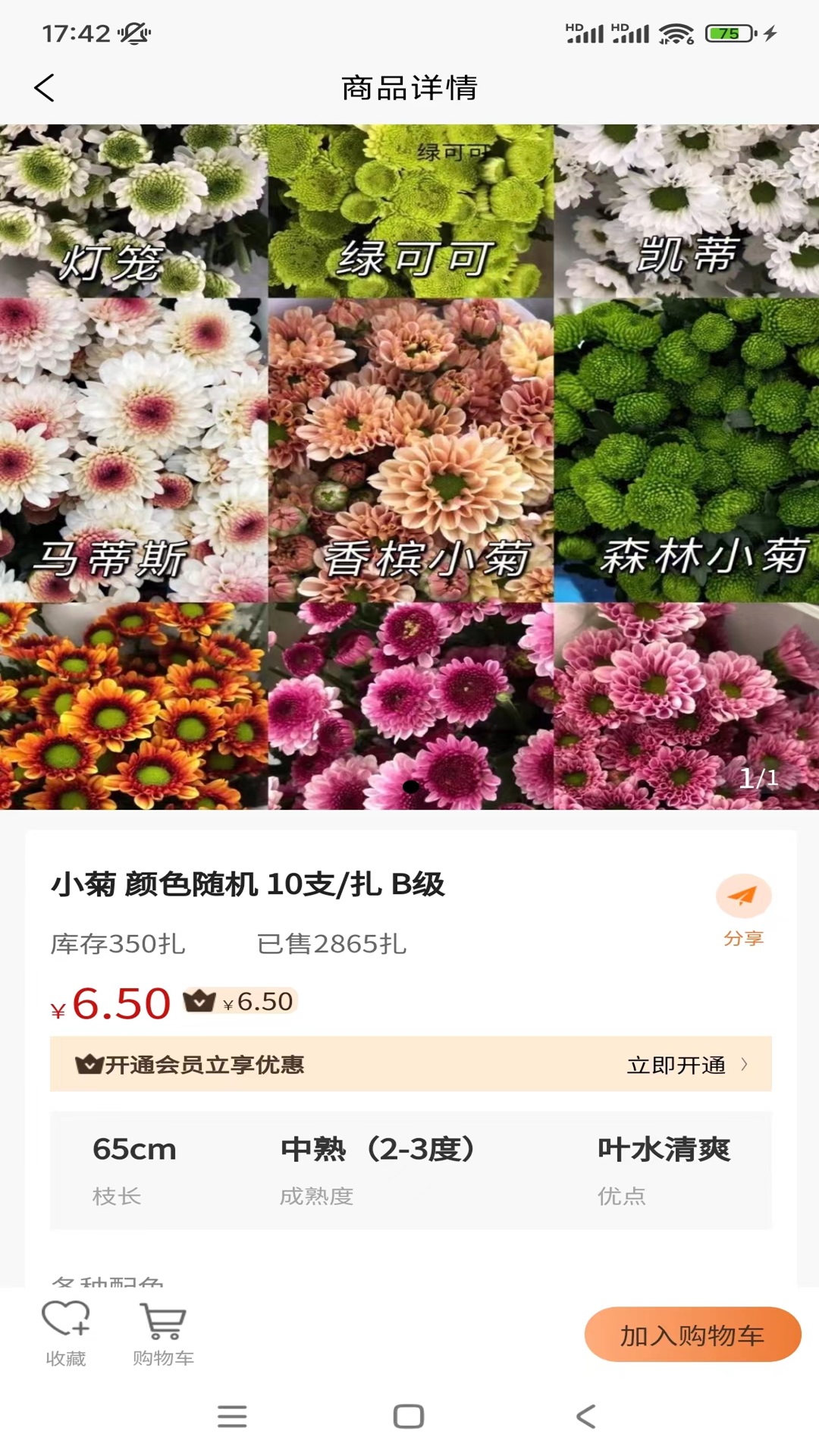卖花人游戏截图1