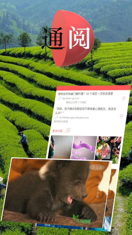 通阅百科游戏截图1