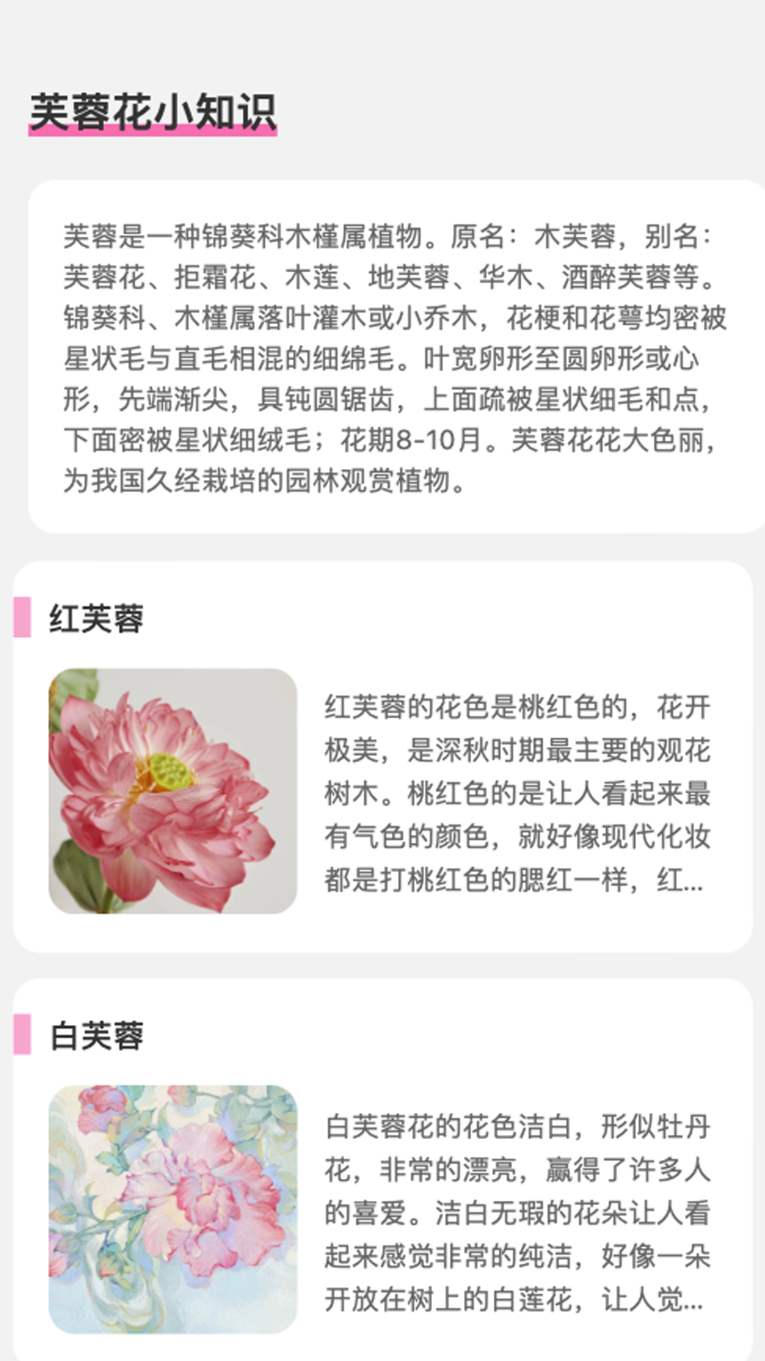 芙蓉乐刷游戏截图1