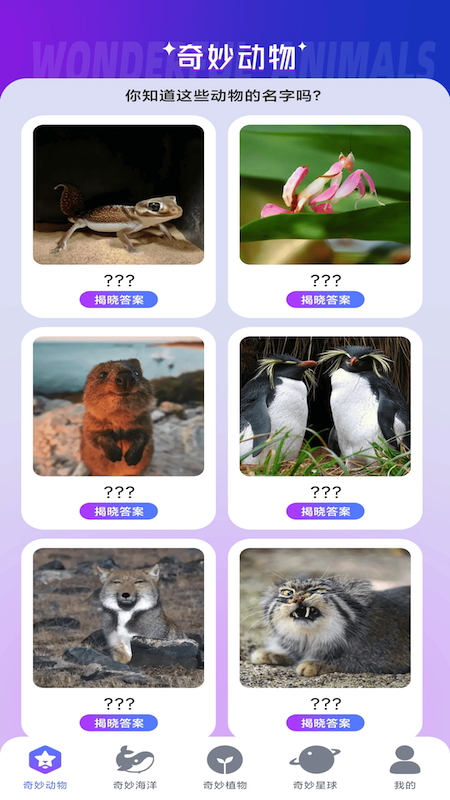 妙看多多游戏截图4