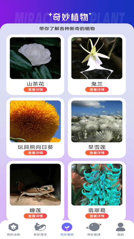妙看多多游戏截图1