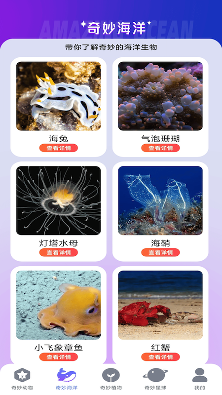 妙看多多游戏截图3
