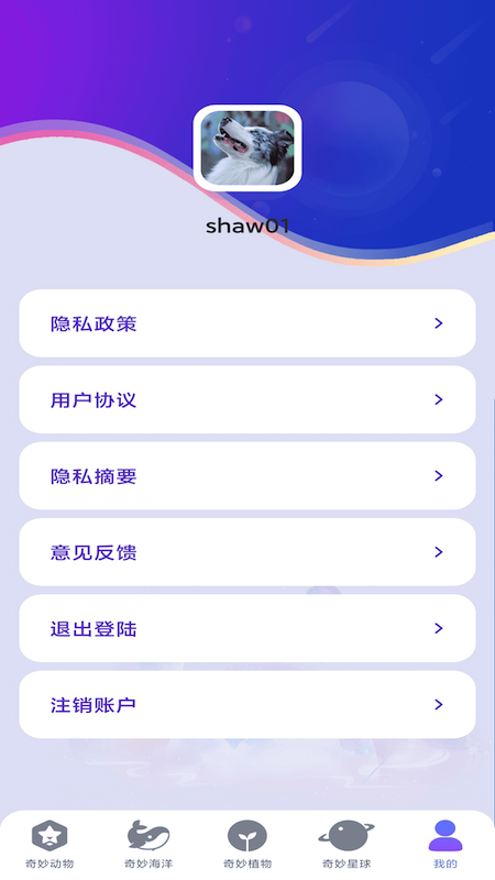 妙看多多游戏截图2