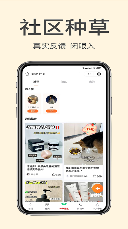 掌门初品游戏截图5