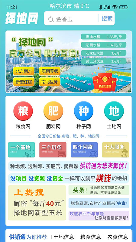 择地网游戏截图1